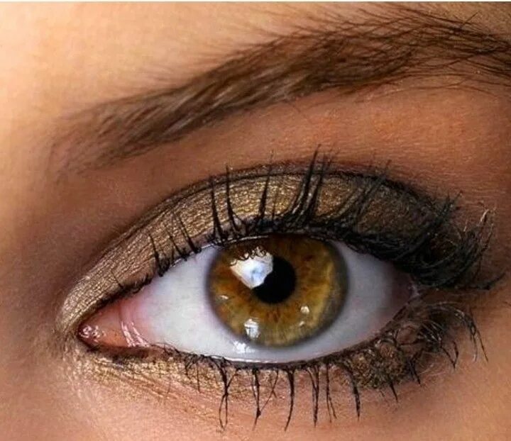 Карий цвет глаз фото оттенки Pin by DEPRESİF PRENSES on göz renkleri Makeup for brown eyes, Eyeshadow for bro