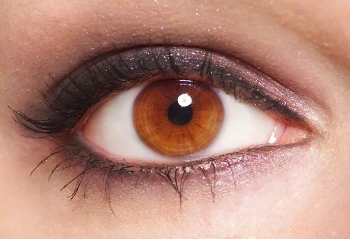 Карий цвет глаз фото оттенки Best Eyeshadow Colors For Brown Eyes Best Eye Shadow Colors For Blue Eyes Brown 