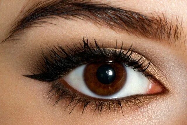 Карий цвет глаз фото оттенки Trucco semplice occhi marroni: 4 idee per valorizzarli in modo super facile! Par