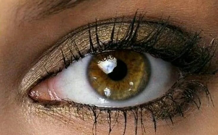 Карий цвет с фото одежда Pin on Tattoos Eye color, Photography, Eyes