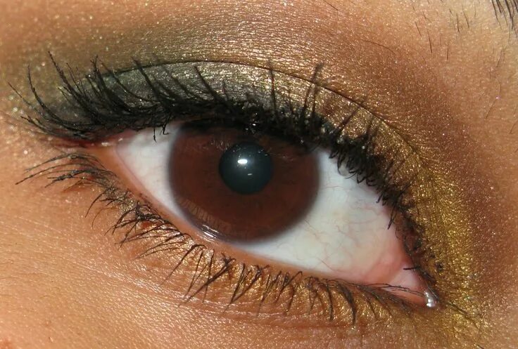 Карий цвет с фото одежда Urban Decay Goldmine eye liner Eye color, Beauty creatures, Dark brown eyes