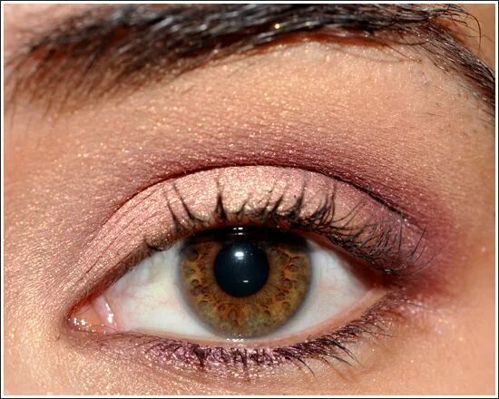 Карий цвет с фото одежда Valentine's Day Makeup: Soft Peach & Plum Valentine’s Day Makeup: Soft Peach & P