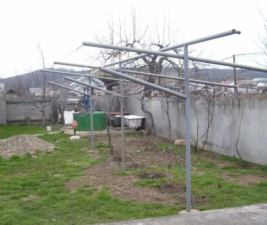 Каркас для винограда фото Шпалери та формування, загальні питання та порівняння - Сторінка 250 - форум-вин