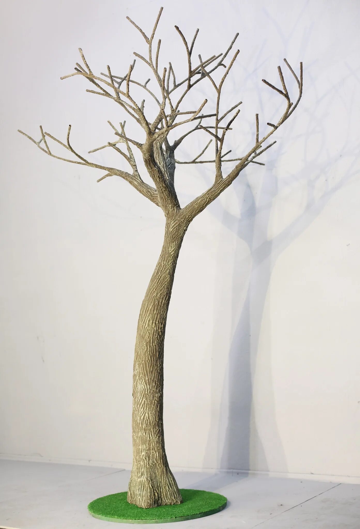Каркас западный дерево описание и фото Каркас дерева onlytreees