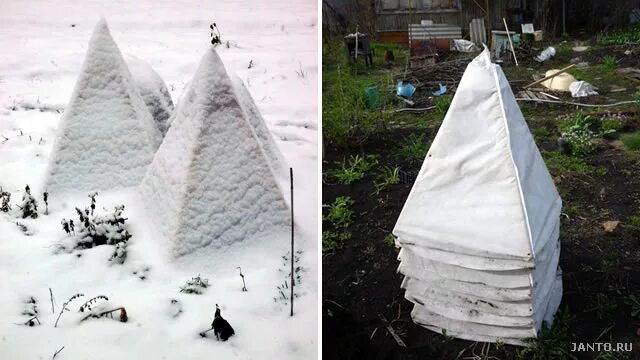 Каркасы для укрытия роз на зиму фото Зимнее укрытие для роз