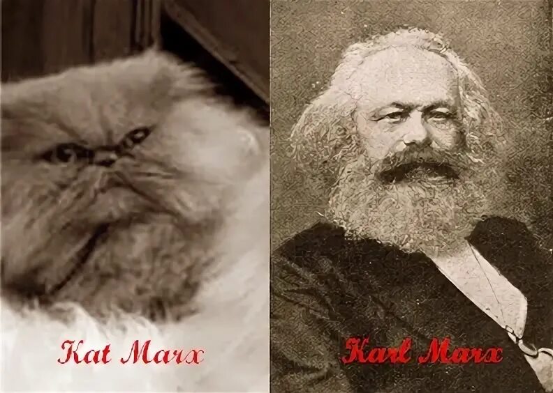 Карл маркс без бороды фото Kat Marx Know Your Meme