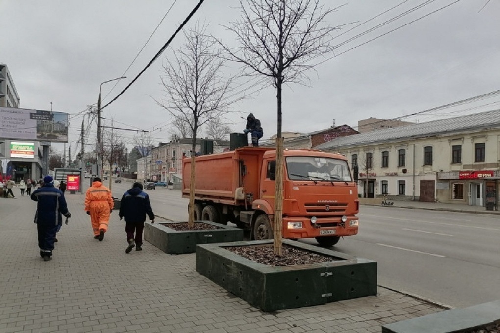 Карл маркс просп ленина 30 тула фото В Туле устанавливают защитные короба вокруг лип на проспекте Ленина - МК Тула