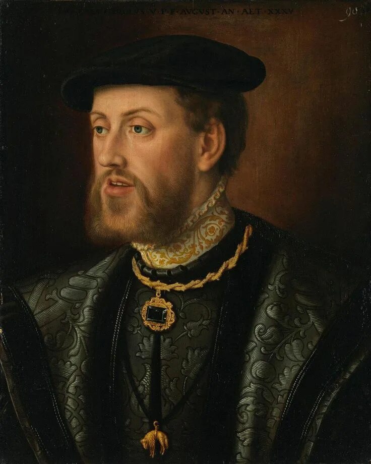 Карл пятый фото Natalie Grueninger on Instagram: "Time for another portrait! Emperor Charles V b