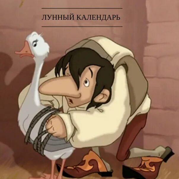 Карлик нос сказка фото Аудиосказки Гауфа Аудиосказки Гауфа наполнены искрометным, но добродушным юмором