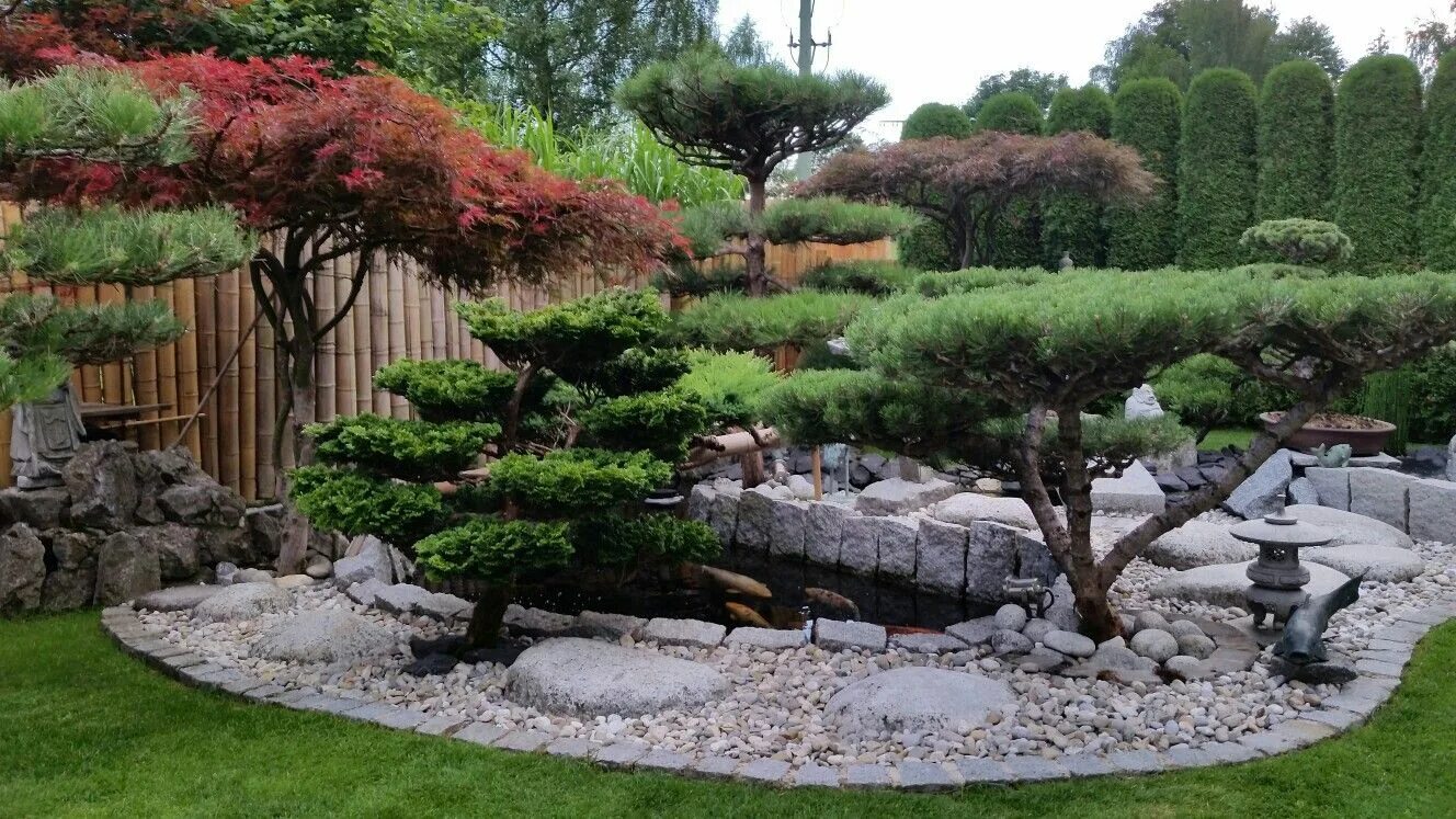 Карликовые деревья для сада декоративные фото Small japanese garden. Japanese garden design, Japanese garden landscape, Small 