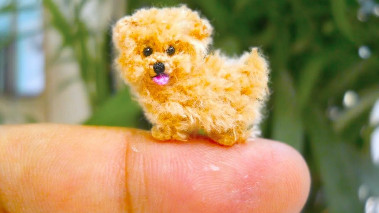 Карликовые собак фото с названиями 20 Smallest Dog Breeds In The World - YouTube