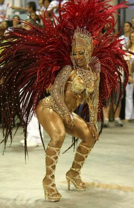 Карнавал толстая фото Sambódromo do Rio de Janeiro Carnival outfits, Carnival girl, Trinidad carnival 