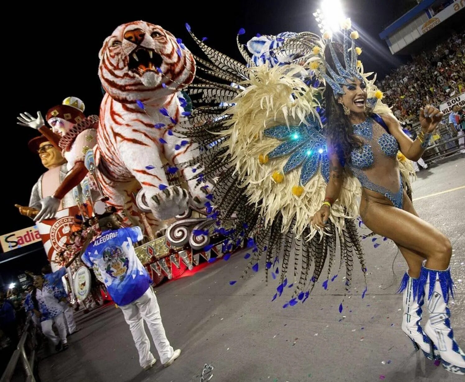 Карнавал в рио де жанейро фото девушек Rio carnival - Daily Star