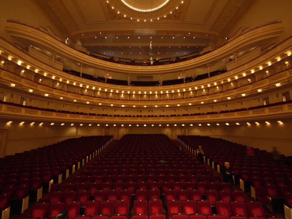 Карнеги холл в нью йорке фото carnegie-hall White Crane Institute