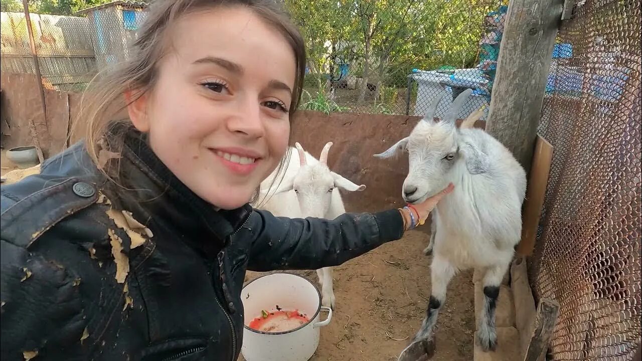 Каролина из деревни фото СОБАКА ЧАСТЬ 2 ЛЕЧЕНИЕ - YouTube