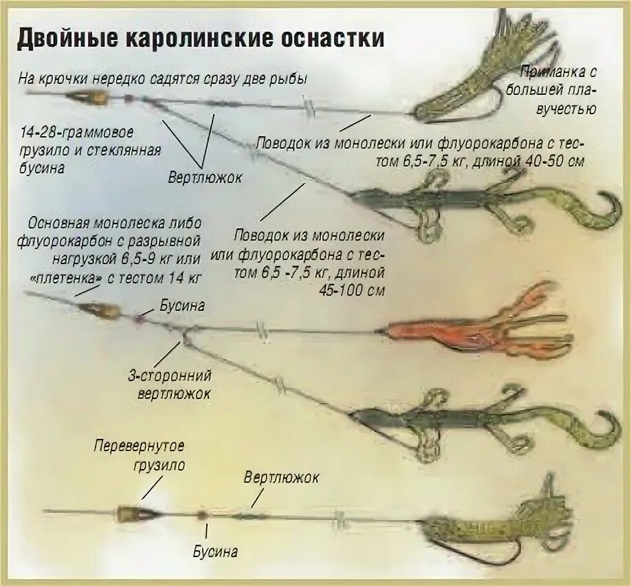 Каролинская оснастка для спиннинга монтаж Пин на доске Рыбалка Рыбалка, Советы для рыболова, Спиннинг