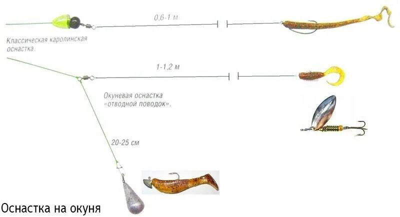 Каролинская оснастка для спиннинга на окуня Отводной поводок на окуня: монтаж и способы ловли