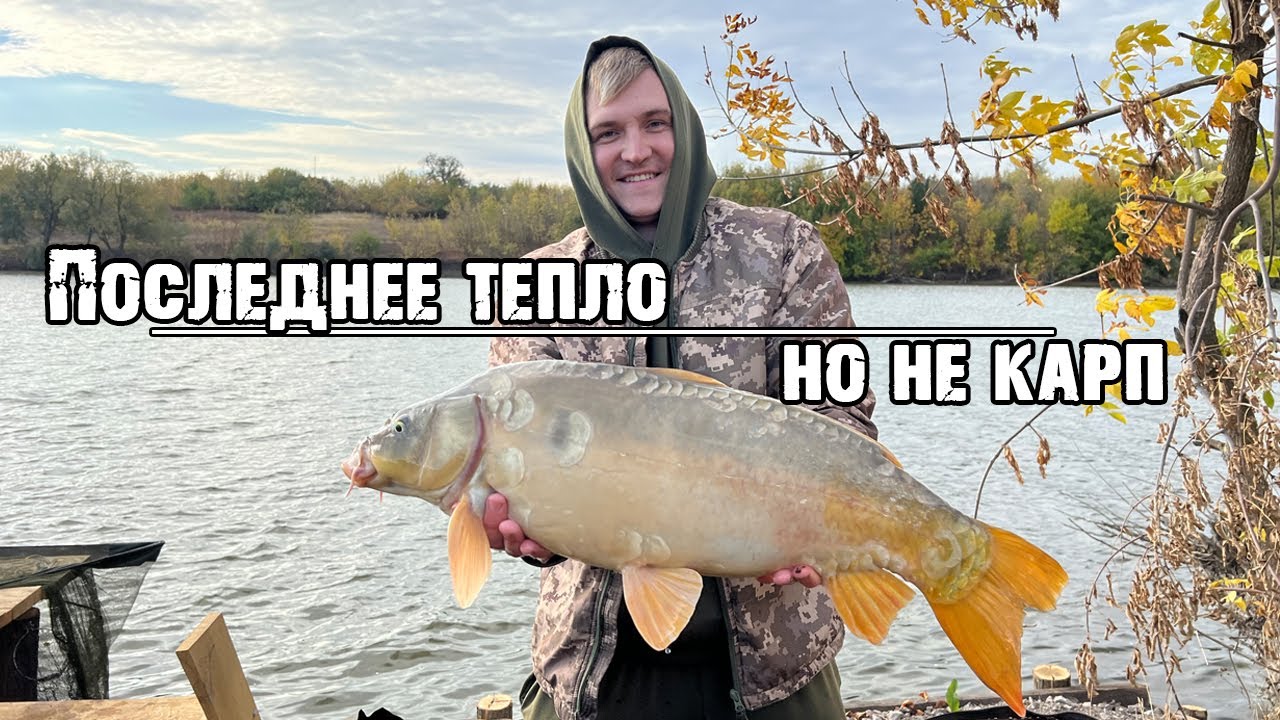 Карп осенью на что ловить в сентябре Последнее тепло октября, но сезон ещё не закрыт!Осенний Carpfishing или как забо