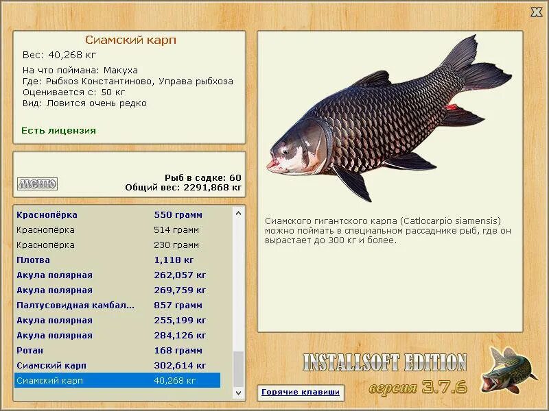 Карп рыбхоз на что ловить РУССКАЯ РЫБАЛКА Installsoft Edition