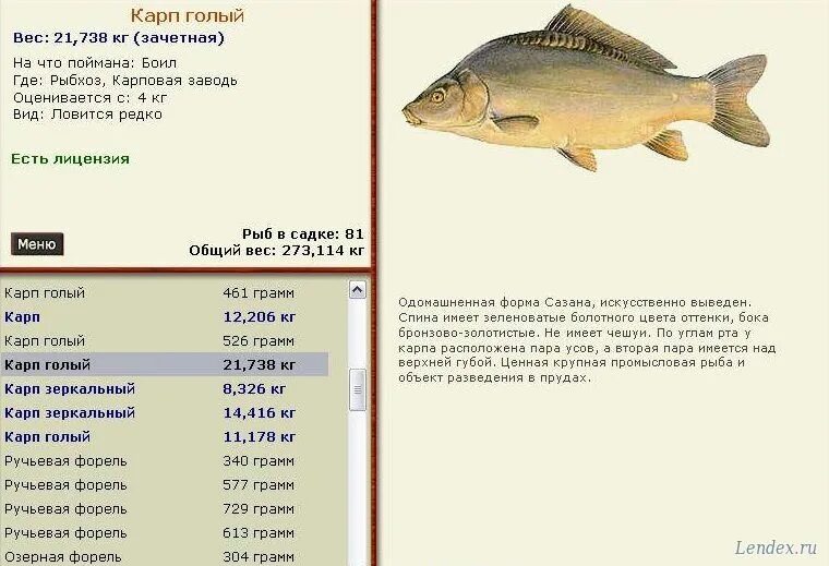 Карп рыбхоз на что ловить форум игры Русская рыбалка