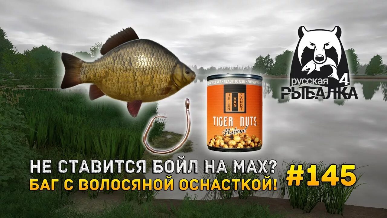 Карповая волосяная оснастка русская рыбалка 4 Не ставится бойл на мах? Баг с Волосяной оснасткой!? - Русская Рыбалка 4 #145 - 
