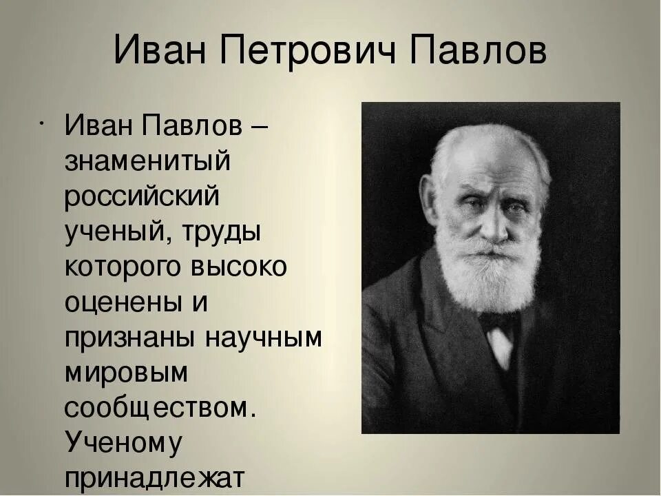 Карта иван петрович павлов в рязани фото Иван петрович павлов презентация