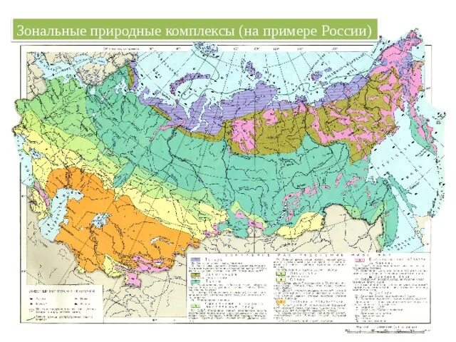 Карта природных зон россии фото Природные зоны России