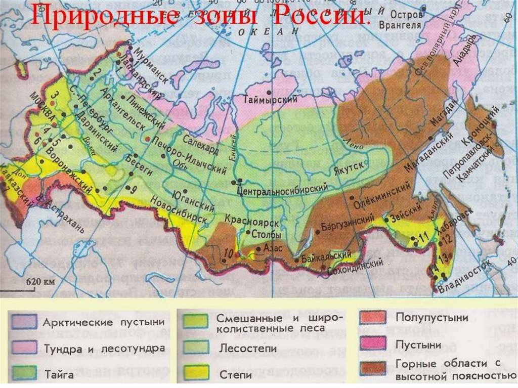 Карта природных зон россии фото Скачай природную зону