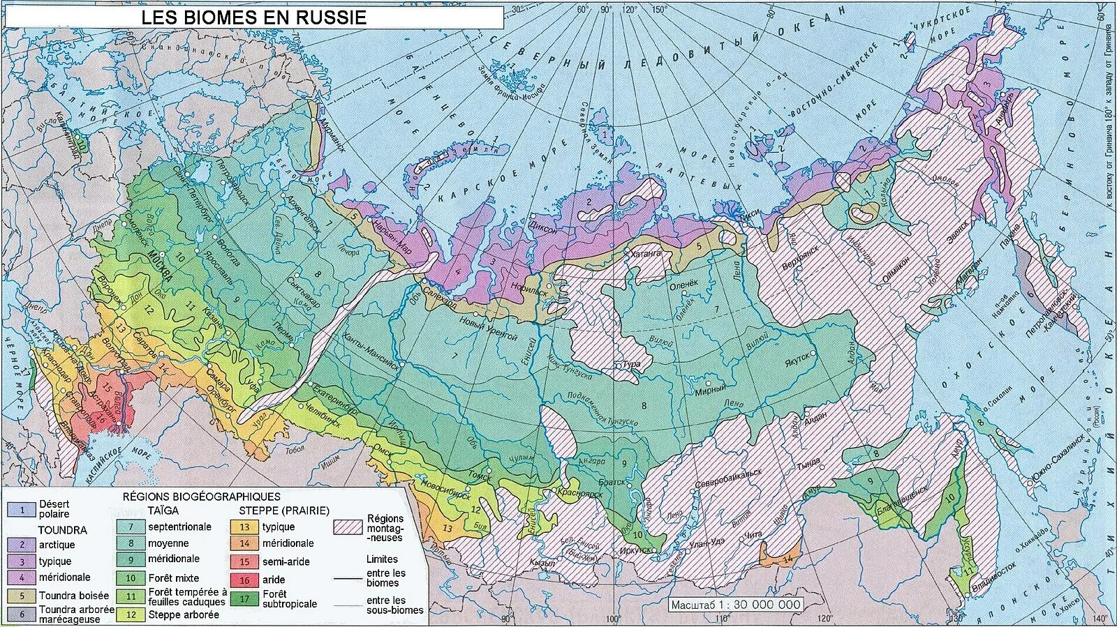 Карта природных зон россии фото Fichier:Biomes vegetation Russia.jpg - Wikipédia