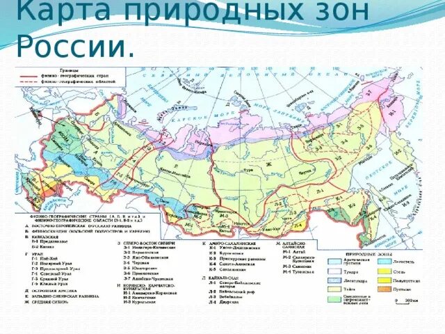 Карта природных зон россии фото Презентация на тему "Животные Арктической пустыни"