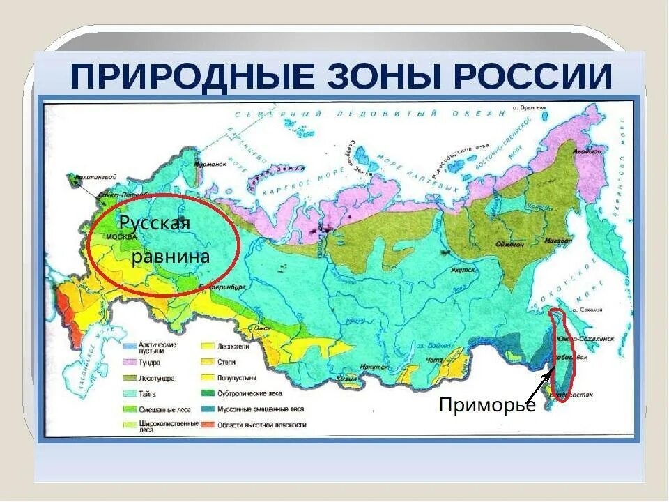 Карта природных зон россии фото Карта природных зон сочи
