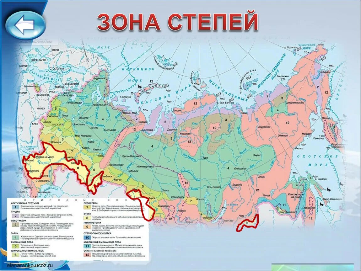 Карта природных зон россии фото Электронный географический дневник. Презентация проекта "Природные зоны России" 
