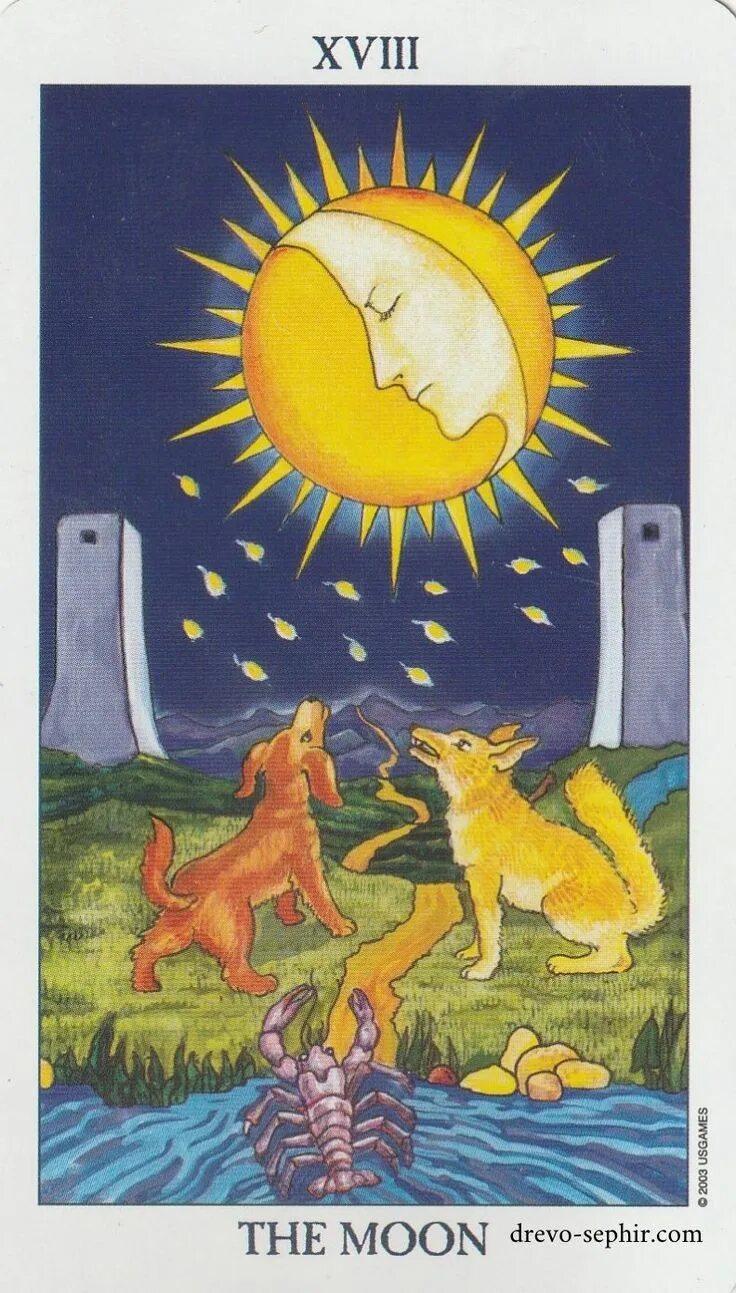Карта таро луна фото The Moon/ Луна Rider waite tarot, Rider waite tarot cards, The moon tarot card
