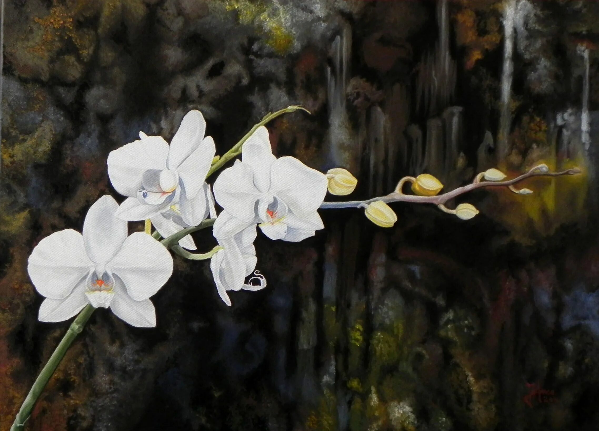 Картина орхидея фото "Orchid" ***SIZE: 19.7 x 27.6 inches / (50 x 70 cm) ***MEDIUM: Professional grad