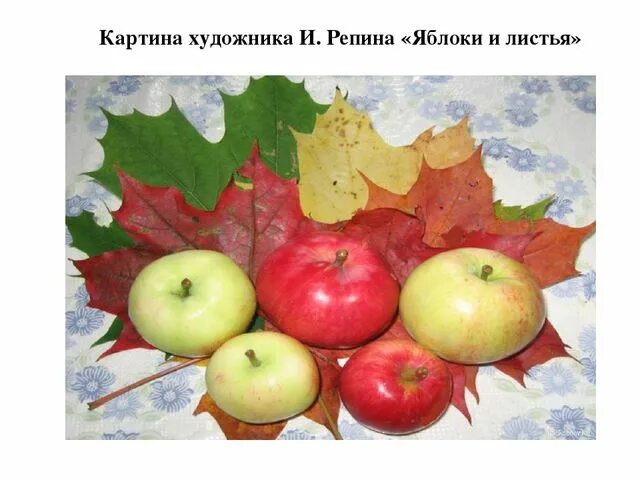 Картина репина яблоки и листья фото Презентация к НОД по ОО "Художественно-эстетическое развитие" - рисование на тем