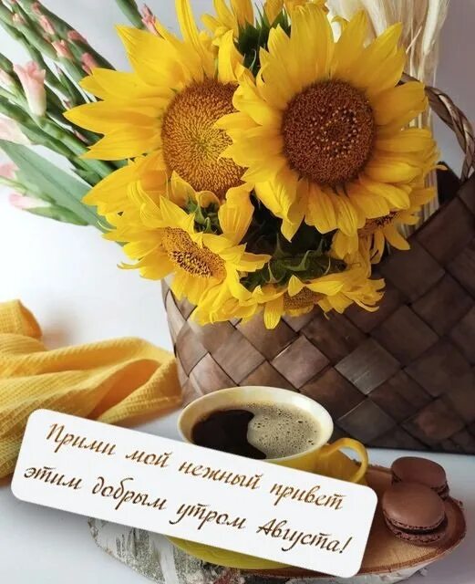 Картина сентября красивая картинка доброе утро Открытки "Доброго августовского утра!" (100+)
