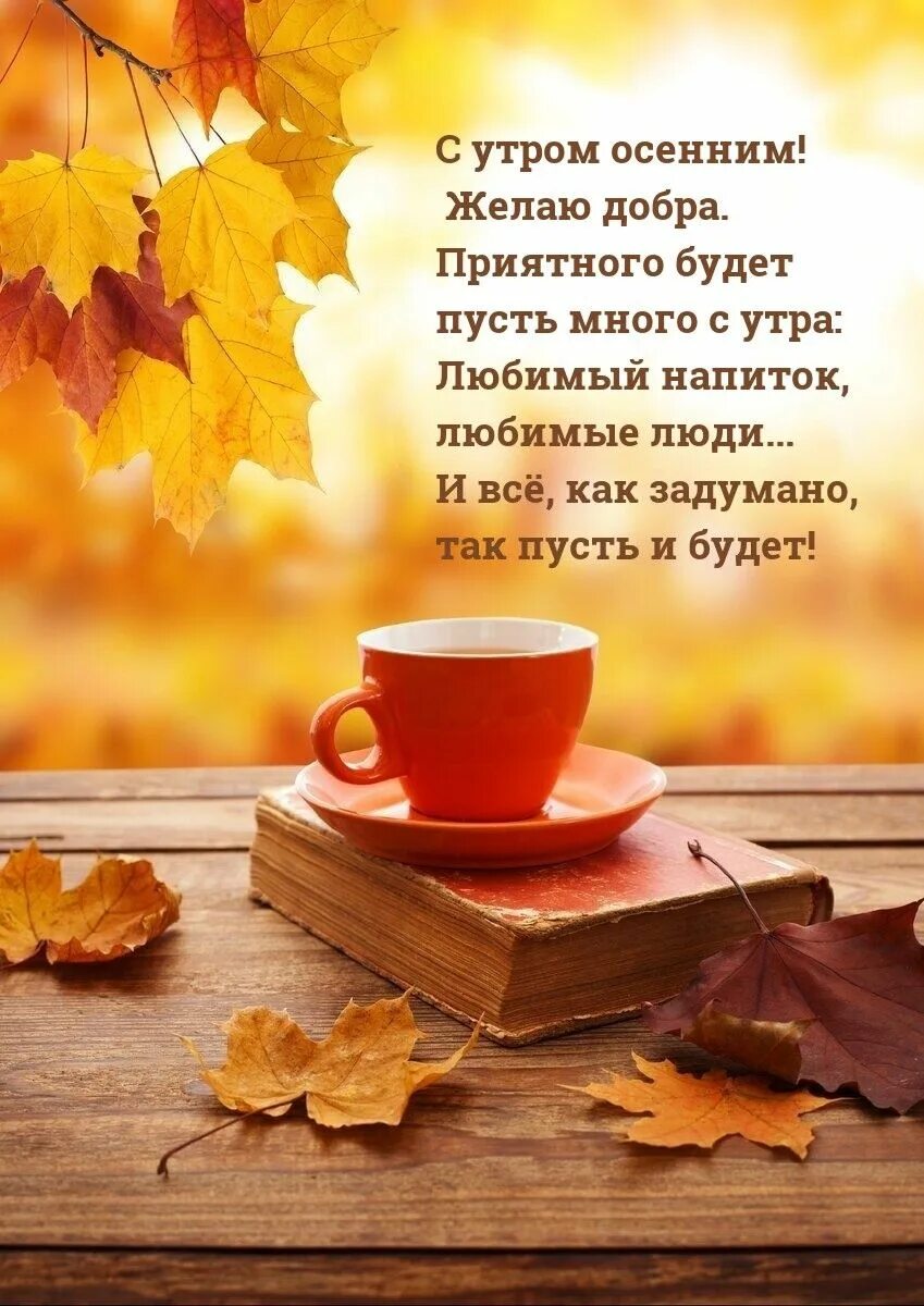 Картина сентября красивая картинка доброе утро Pin on доброе утро Good morning, Gifts