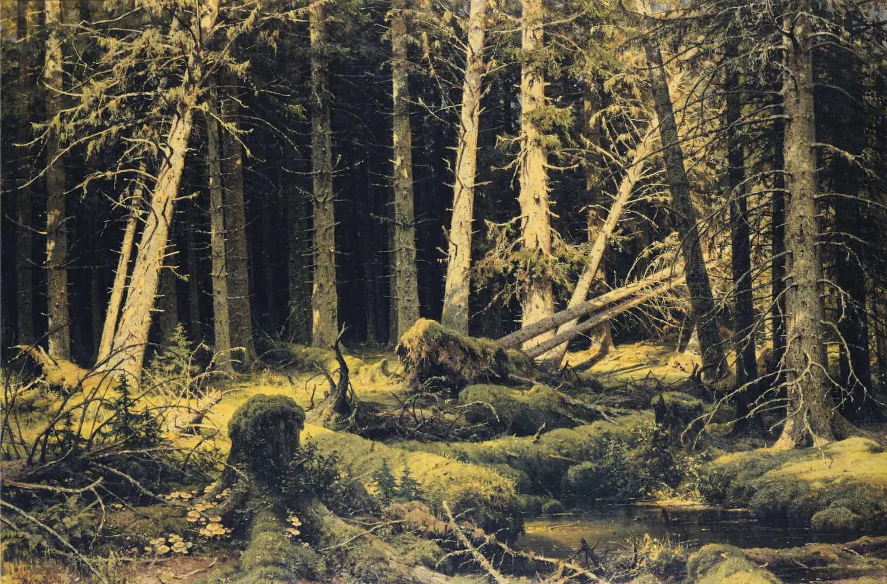 Картина шишкин лес фото Файл:Ivan Shishkin - Wind-Fallen Trees.JPG - Википедия