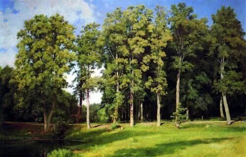 Картина шишкин лес фото Art Oil painting Shishkin Ivan Ivanovich - Grove near the pond. Preobrazhenskoe 