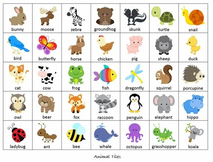 Картинка 13 животных bingo worksheets animals - Buscar con Google Toddler learning activities, Learn 