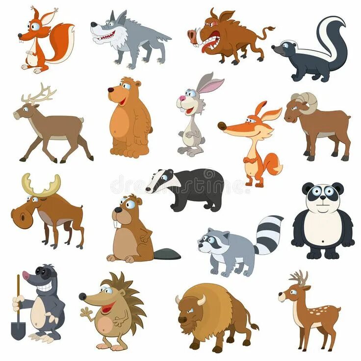 Картинка 13 животных Forest animals set. For web design , #Ad, #animals, #Forest, #set, #design, #web