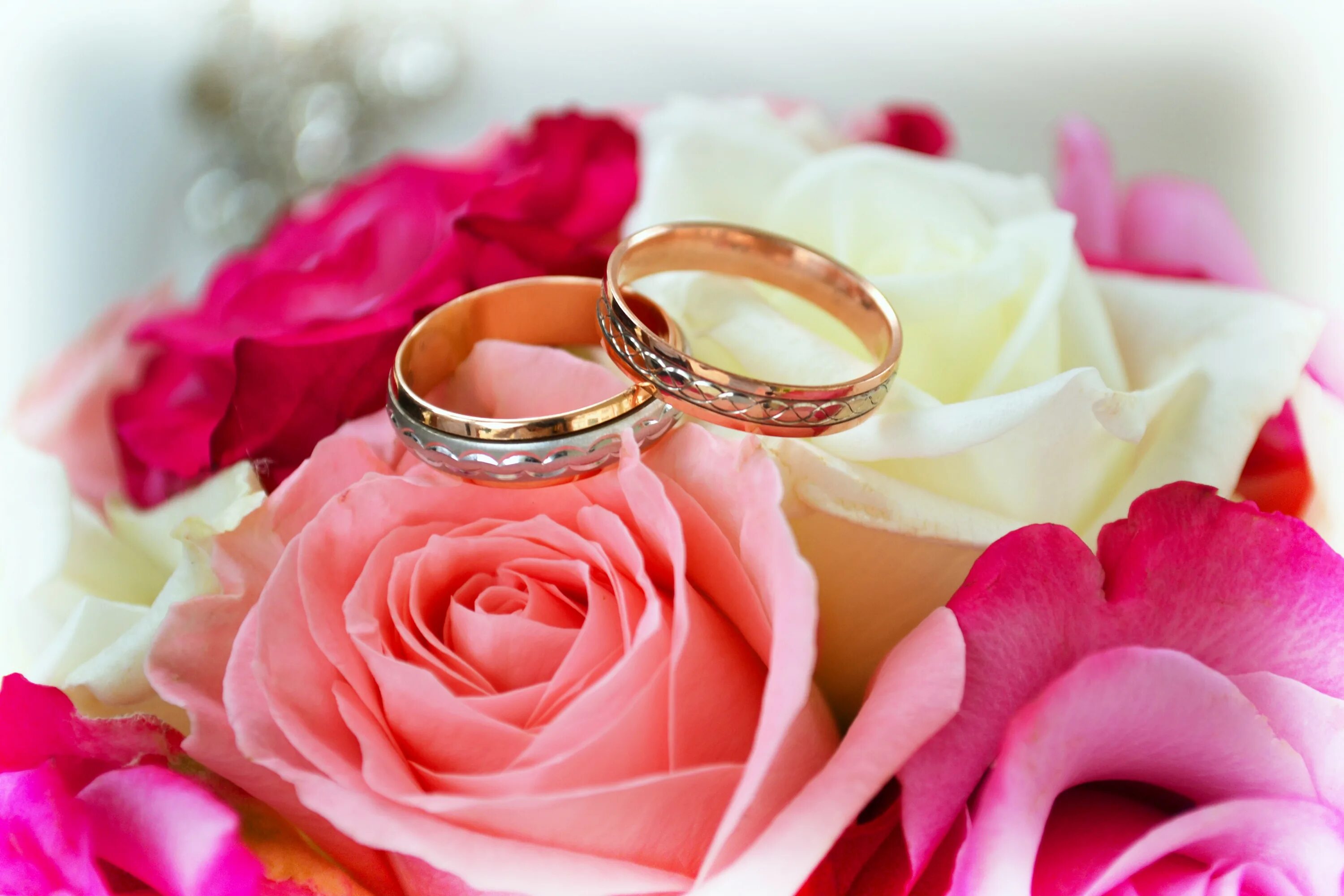 Картинка 17 лет свадьбы 4K, Roses, Closeup, Ring, Two, Gold color, HD Wallpaper Rare Gallery