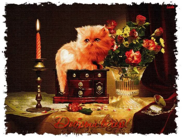 Картинка анимашка добрый вечер Animazione Kitty Rose candela con le parole Buona sera, SIFCO gattino rosa cande