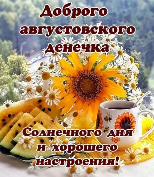 Картинка август хорошего дня Лента по интересам - Картинки - 3903582 - Tabor.ru