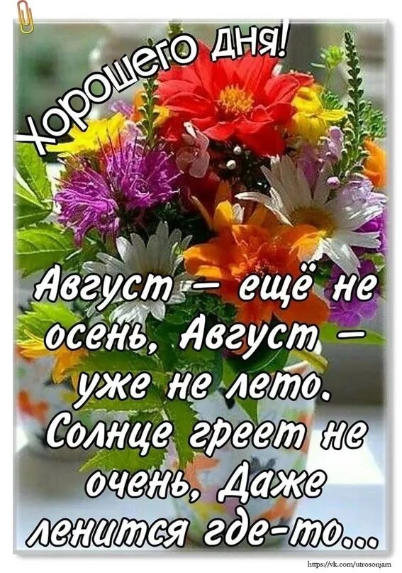 Картинка август хорошего дня Чудесного летнего дня вас, друзья! И доброго улыбчивого настроения! И, конечно ж