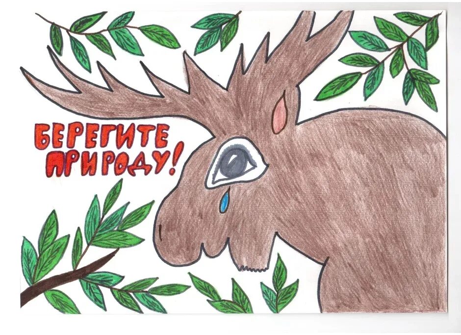 Картинка берегите животных для детей Белая Акула Рисунок (101 Фото)