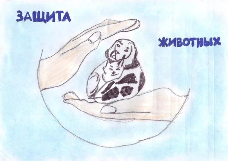 Картинка берегите животных для детей Красная книга руками детей - Дети рисуют в защиту Природы!