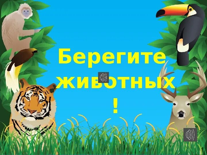 Картинка берегите животных для детей Надпись берегите животных на прозрачном фоне Foto-Gadanie.ru