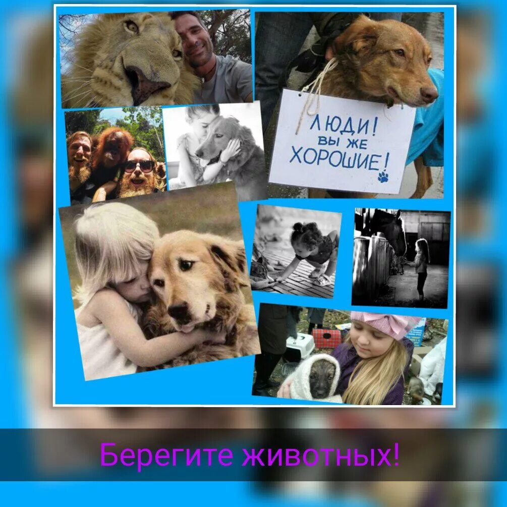 Картинка берегите животных для детей Страница 2937 - Интернет-проект "МЫ ВМЕСТЕ"