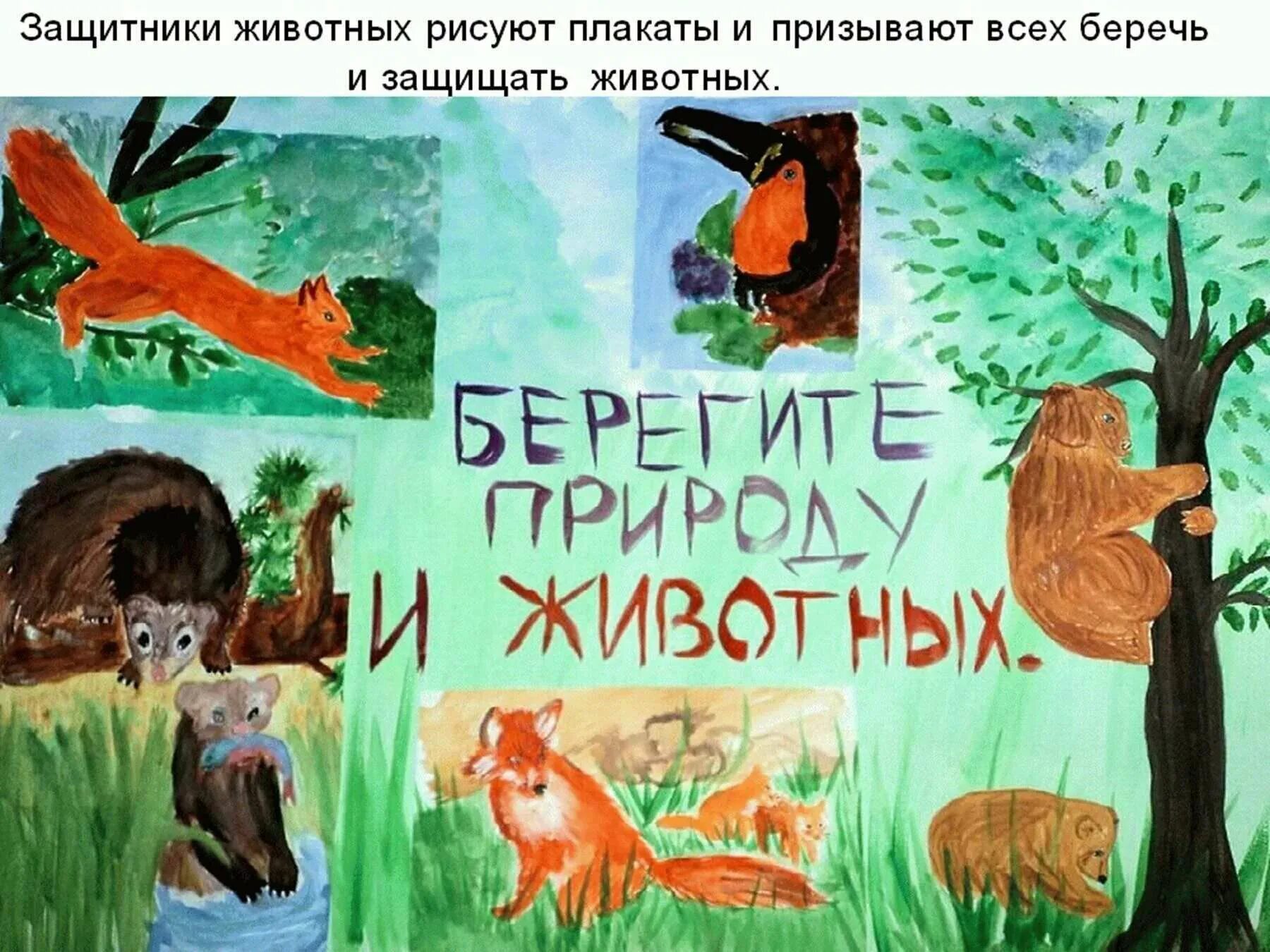Картинка берегите животных для детей Плакат на тему животных: найдено 89 изображений